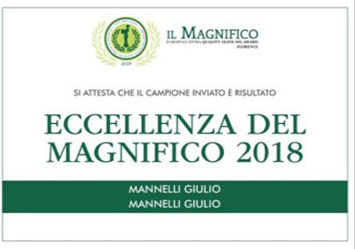 riconoscimenti_Pagina_2_Immagine_0008