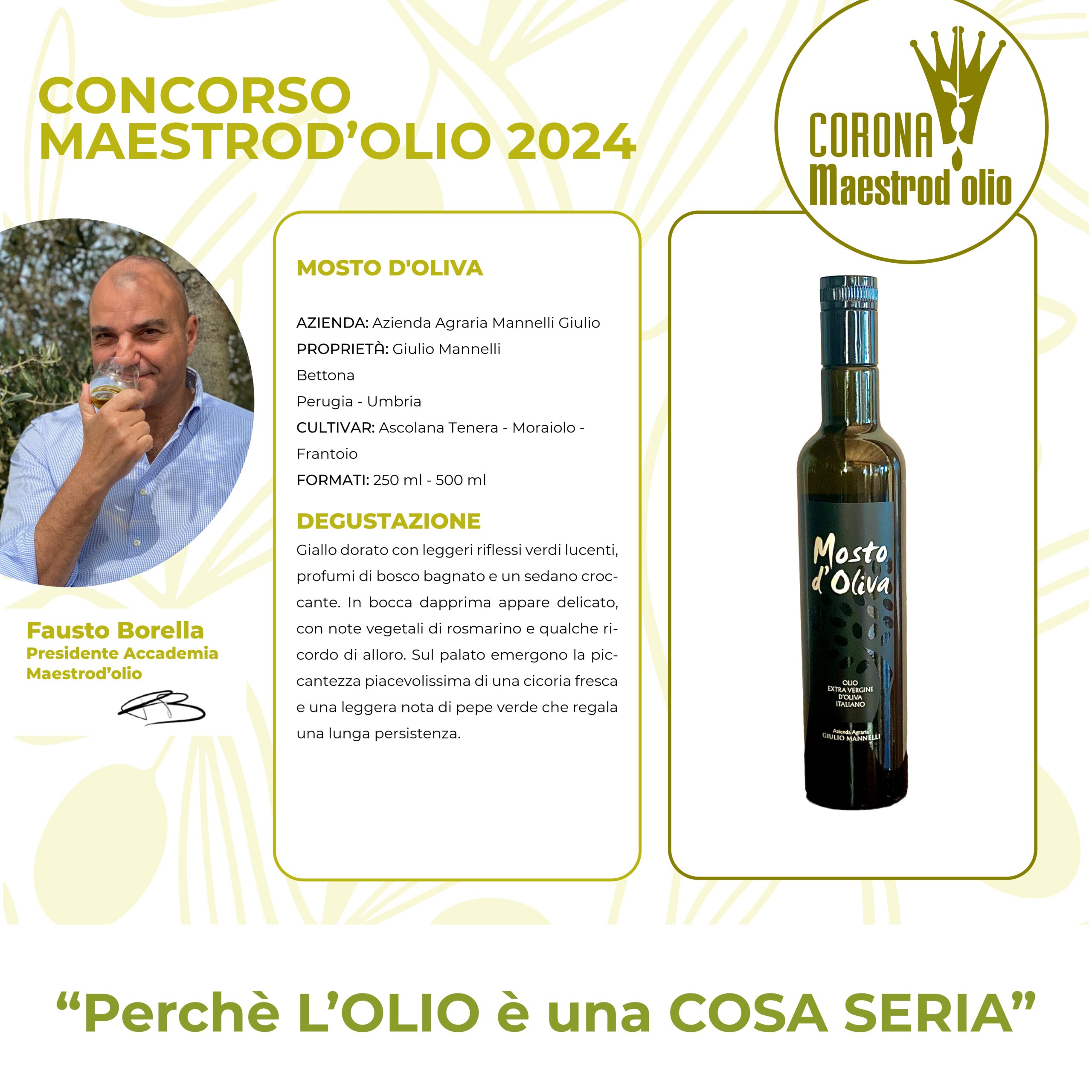 Terre d'Olio 2024